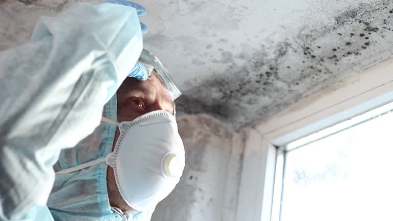 Best Comprehensive Air Testing for Mold Contaminants  in Highland Park, NJ